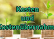 Kosten und Kostenübernahme